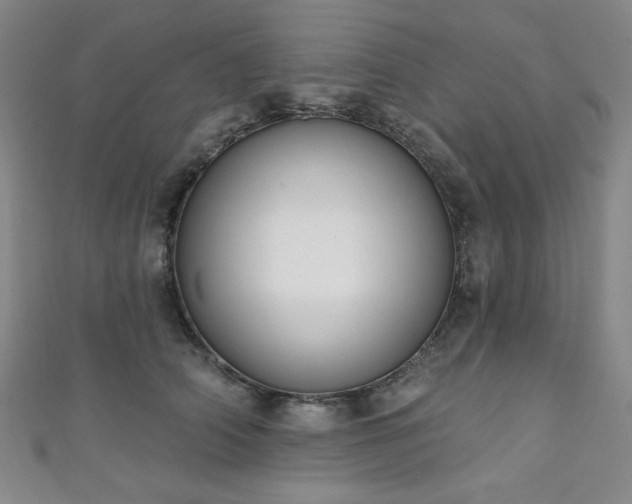 X0000111130706200906301210