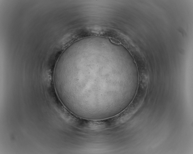 X0000111130707200906301210