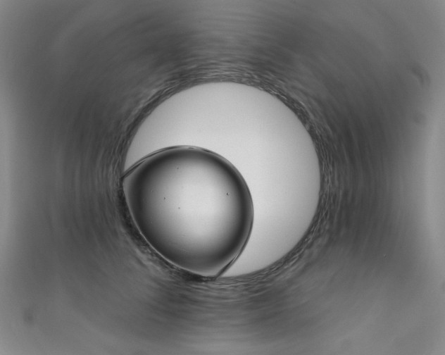 X0000111130708200906301210