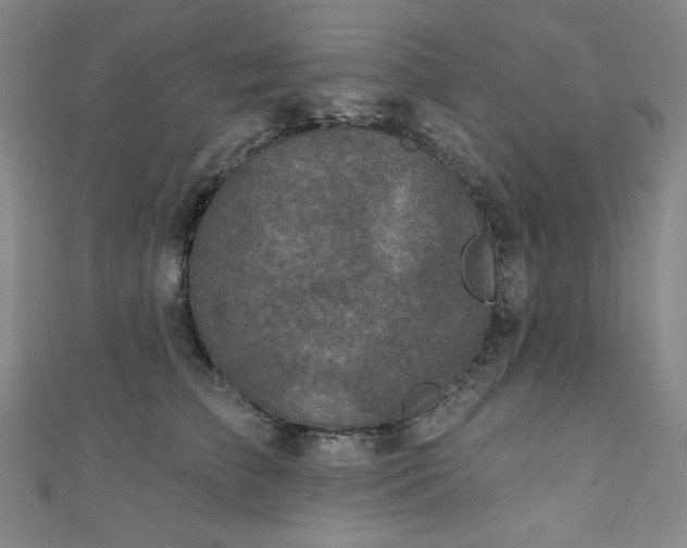 X0000111130709200906301210