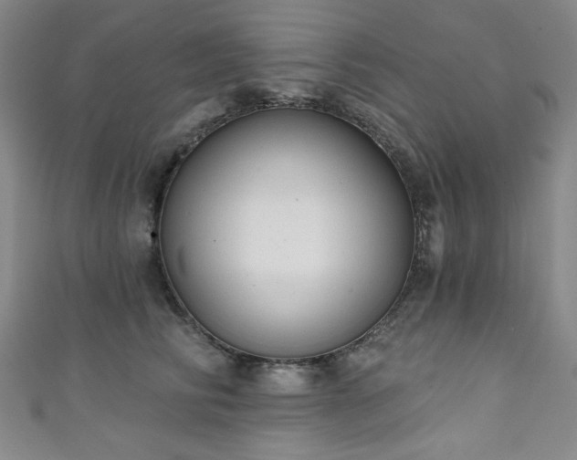 X0000111130710200906301210