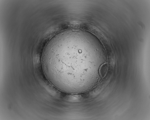 X0000111130711200906301210