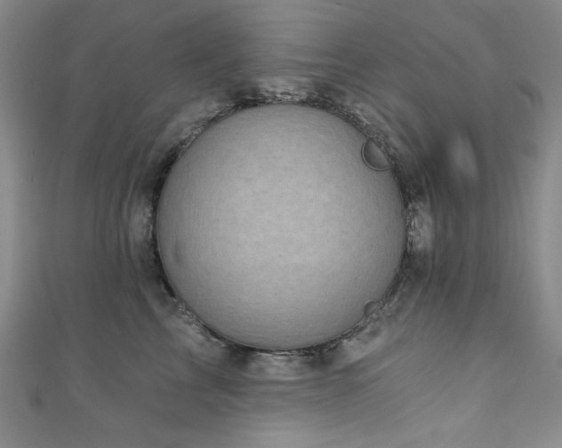 X0000111130713200906301210