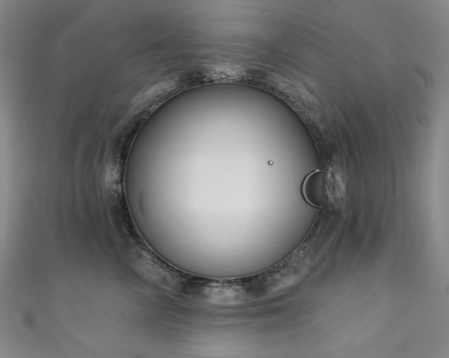X0000111130714200906301210