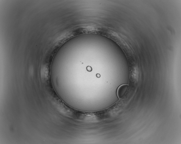 X0000111130715200906301210