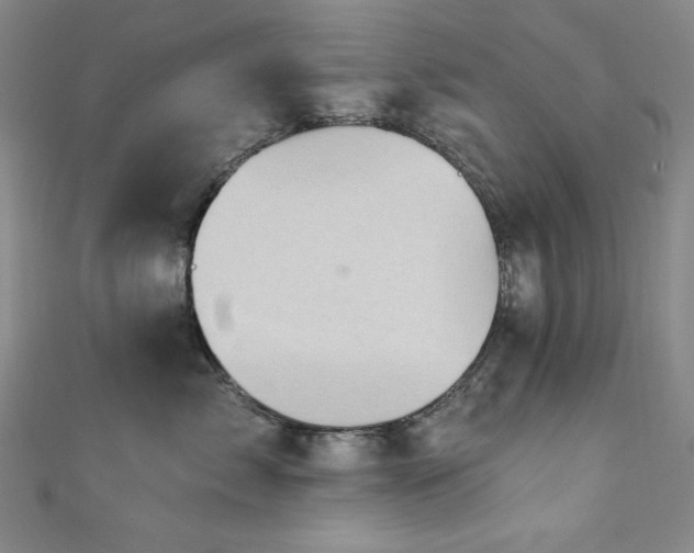 X0000111130717200906301210