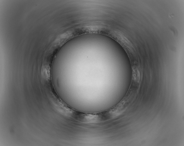 X0000111130718200906301210