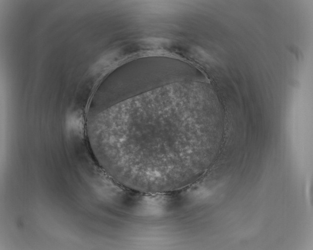 X0000111130720200906301210