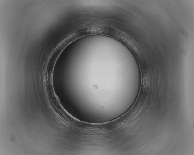 X0000111130722200906301209