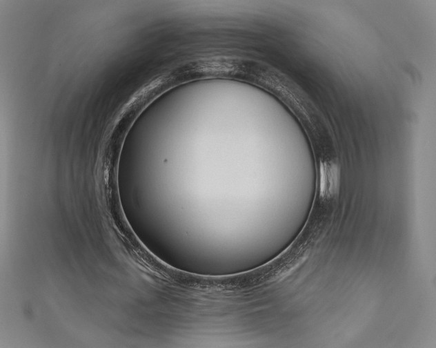 X0000111130723200906301209