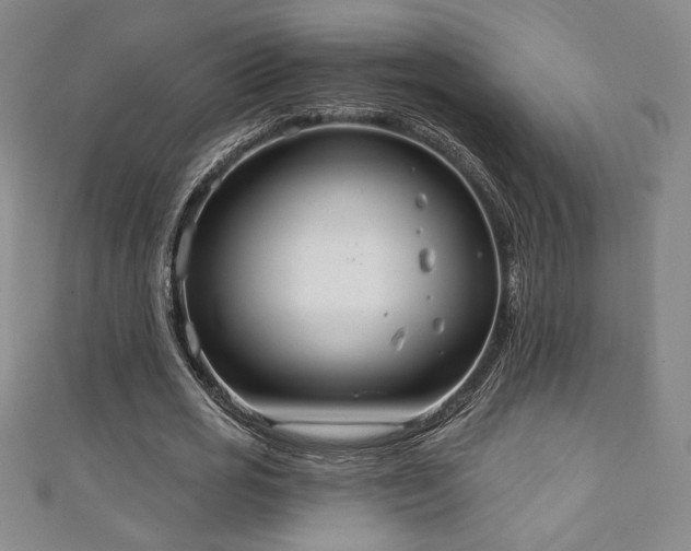 X0000111130725200906301209