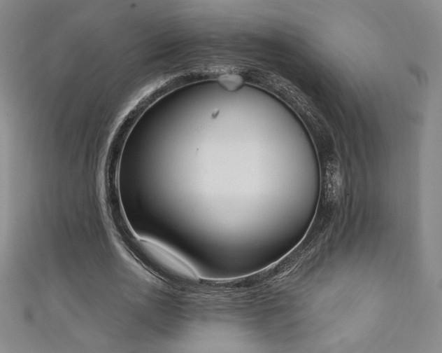 X0000111130726200906301209