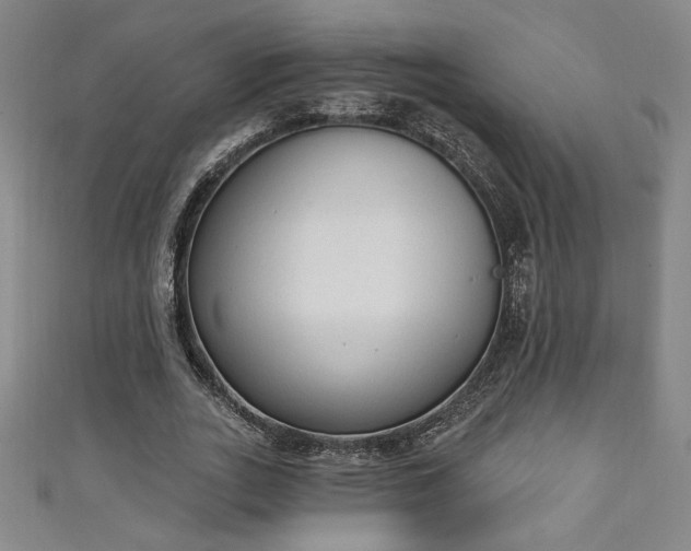 X0000111130727200906301209