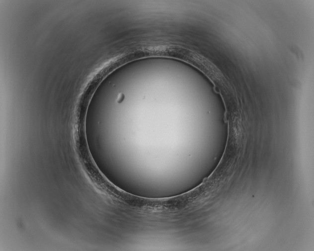 X0000111130728200906301209