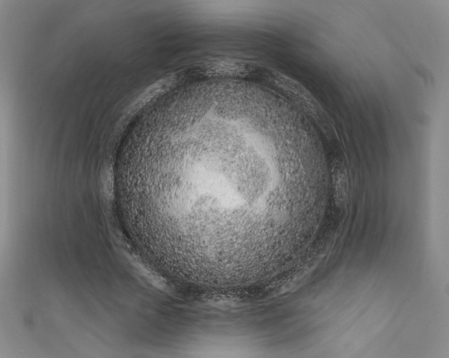 X0000111130729200906301210