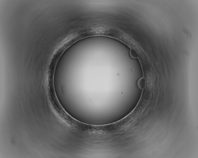X0000111130730200906301210