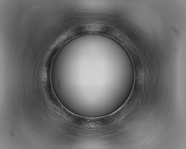 X0000111130731200906301210
