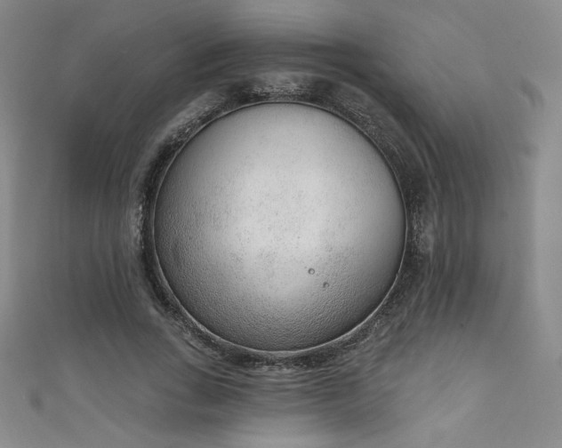 X0000111130735200906301210