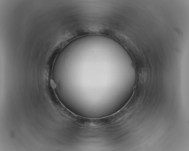 X0000111130739200906301210