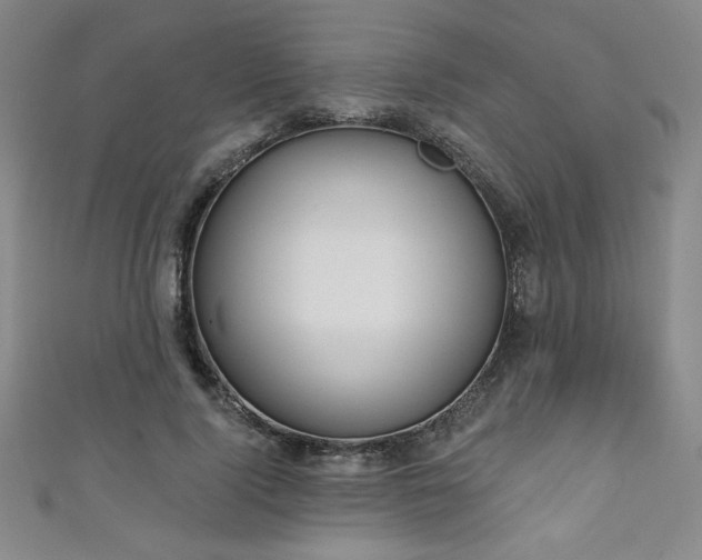 X0000111130740200906301210