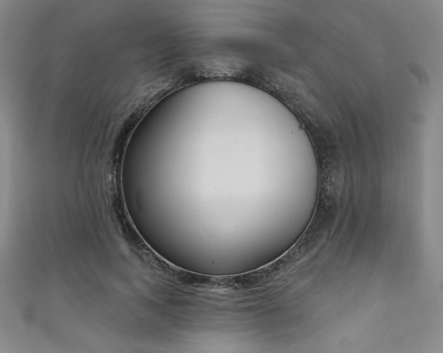 X0000111130743200906301210