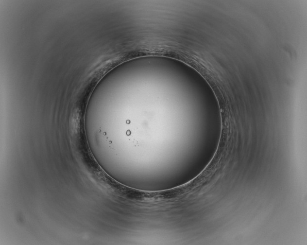 X0000111130744200906301210