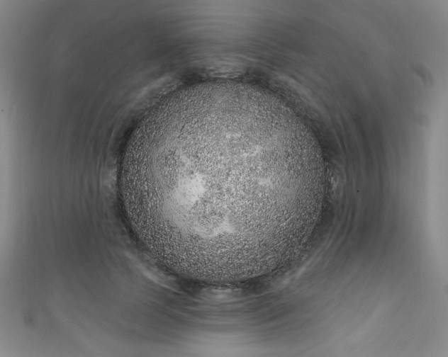 X0000111130745200906301210