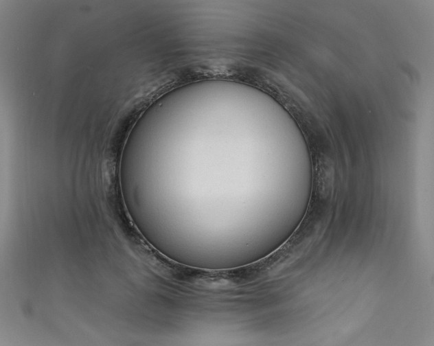 X0000111130747200906301210