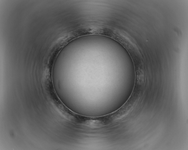 X0000111130748200906301210