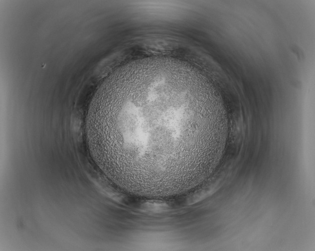 X0000111130749200906301210