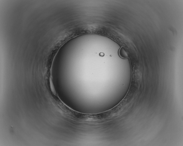 X0000111130750200906301210