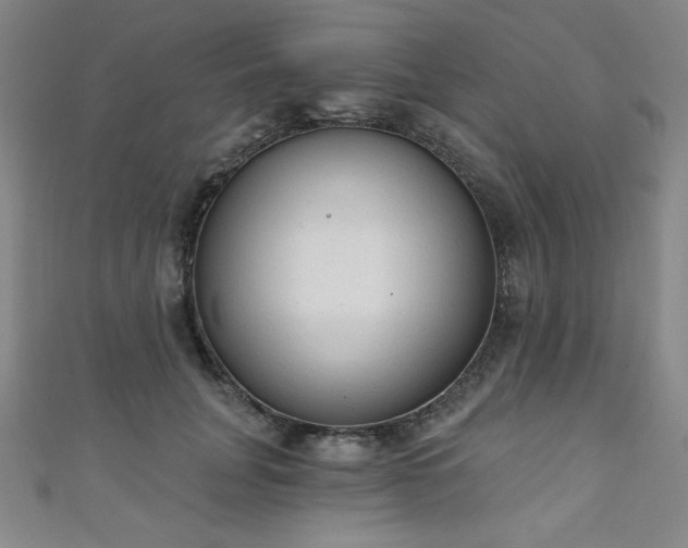 X0000111130751200906301210