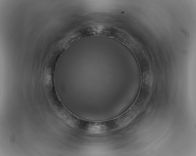 X0000111130754200906301210