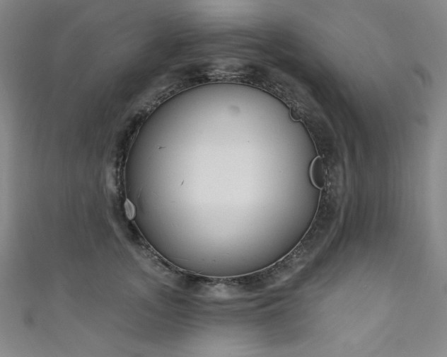X0000111130755200906301210