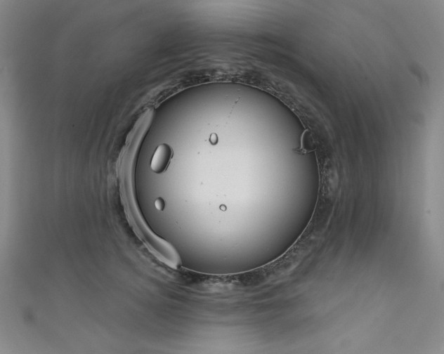 X0000111130756200906301210