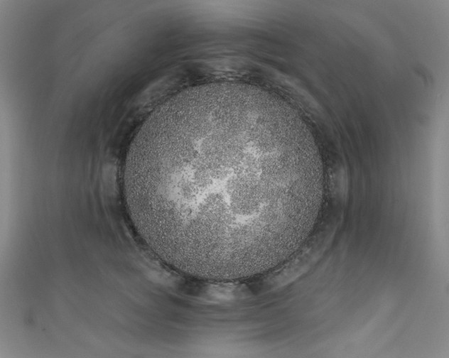 X0000111130757200906301210