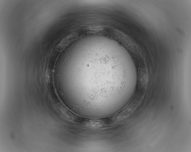 X0000111130758200906301210