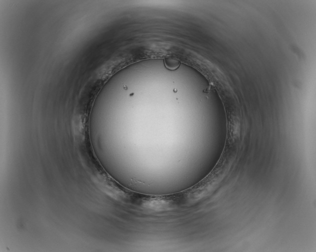 X0000111130759200906301210