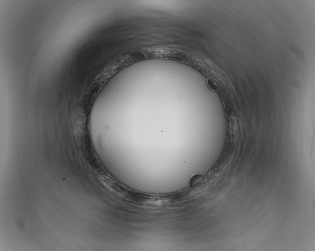 X0000111130760200906301210