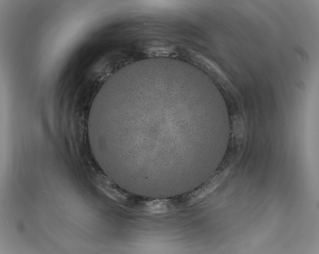 X0000111130761200906301210