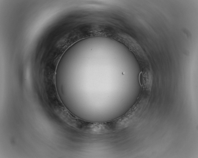 X0000111130762200906301210