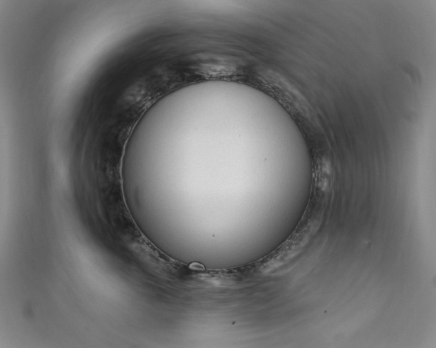 X0000111130763200906301210