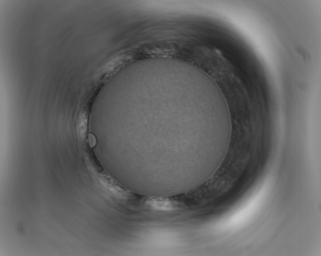X0000111130767200906301210
