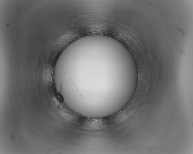 X0000111130768200906301210