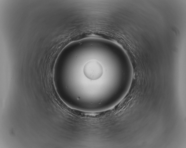 X0000111130769200906301209