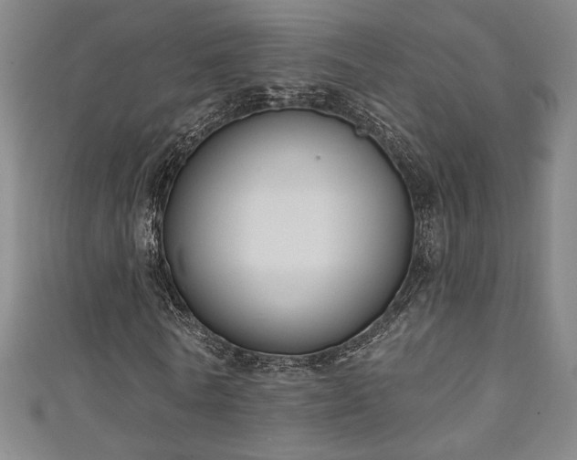 X0000111130770200906301209