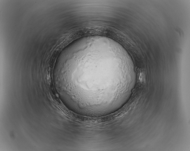 X0000111130771200906301209