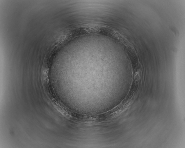 X0000111130772200906301209