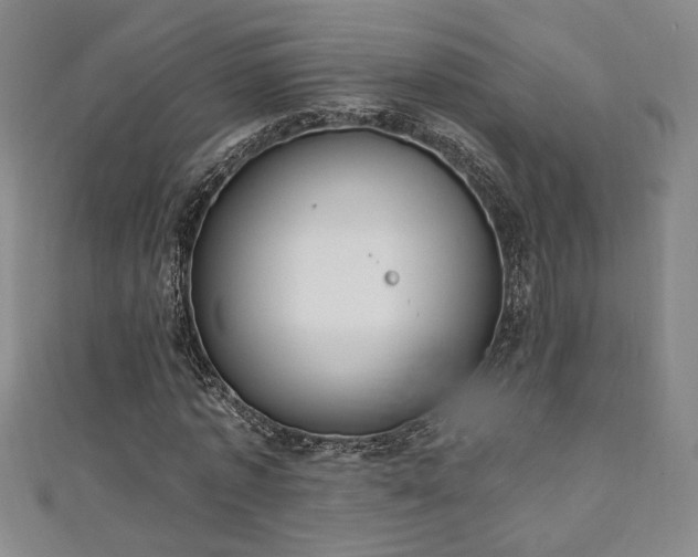 X0000111130773200906301209