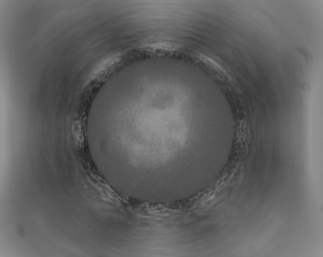 X0000111130774200906301209